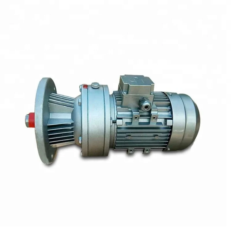 vertical micro cycloidal reducer