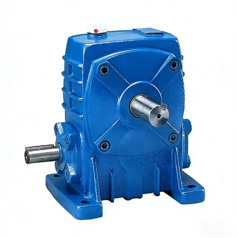 worm gear and motor
