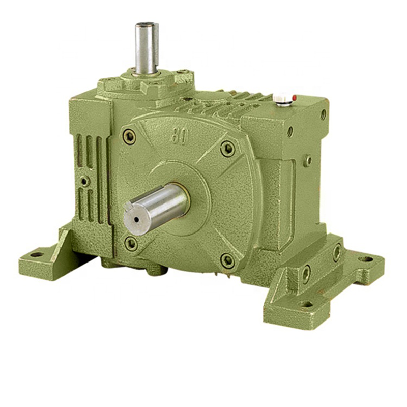 worm gear and motor