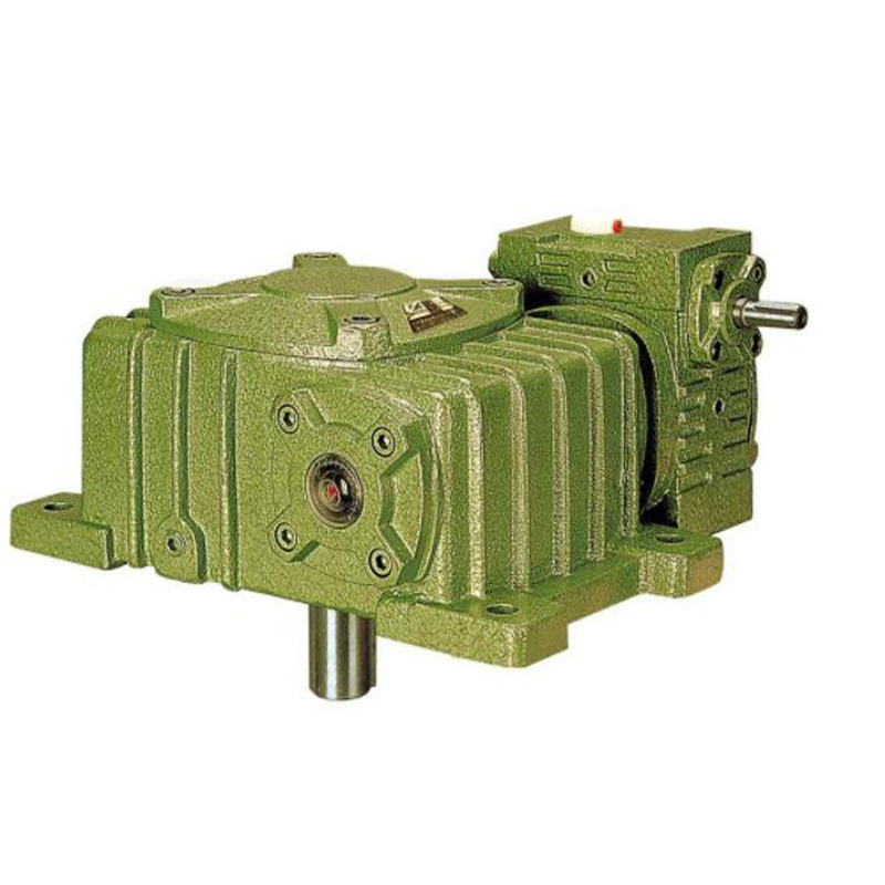 worm gear and motor