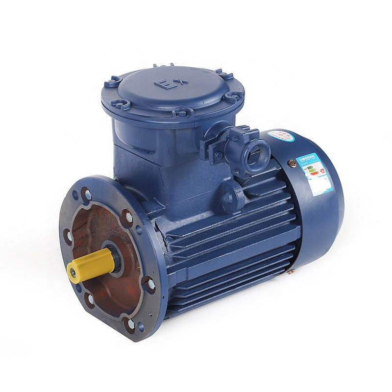 Flameproof Three-Phase Motor