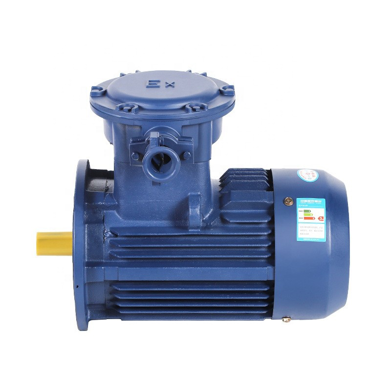 Flameproof Three-Phase Asynchronous Motor