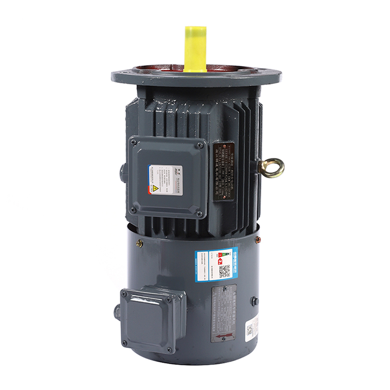 frequency conversion speed regulation motor