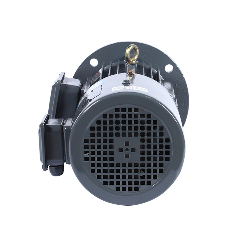 frequency conversion speed regulation motor