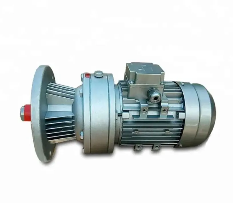 cycloidal speed reducer